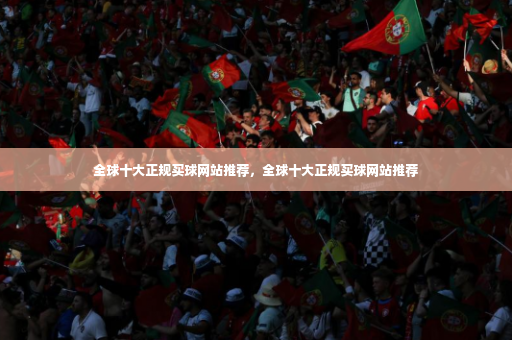 全球十大正规买球网站推荐，全球十大正规买球网站推荐-第3张图片-体育博彩