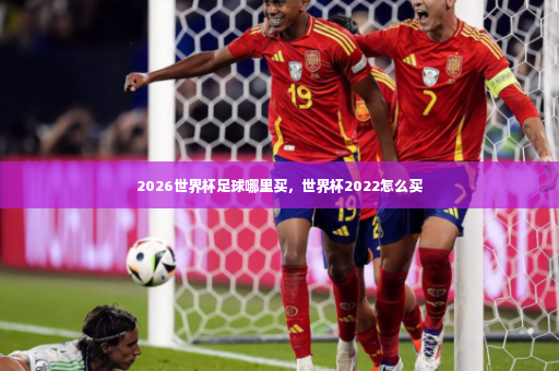 2026世界杯足球哪里买，世界杯2022怎么买-第3张图片-体育博彩