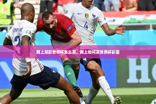 网上足彩世界杯怎么买，网上如何买世界杯彩票-第2张图片-体育博彩