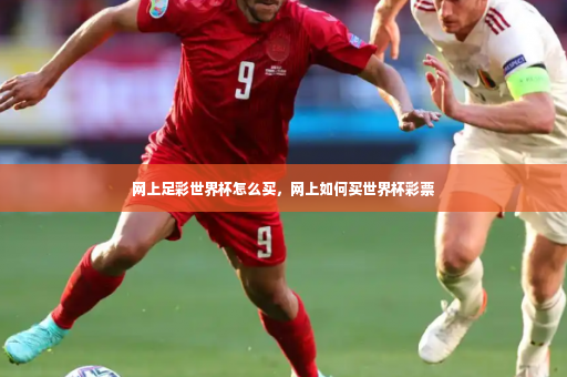 网上足彩世界杯怎么买，网上如何买世界杯彩票-第4张图片-体育博彩