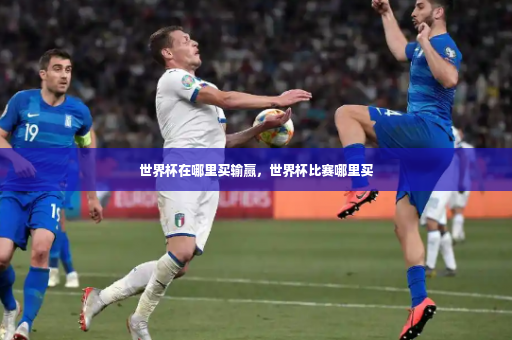 世界杯在哪里买输赢，世界杯比赛哪里买-第2张图片-体育博彩