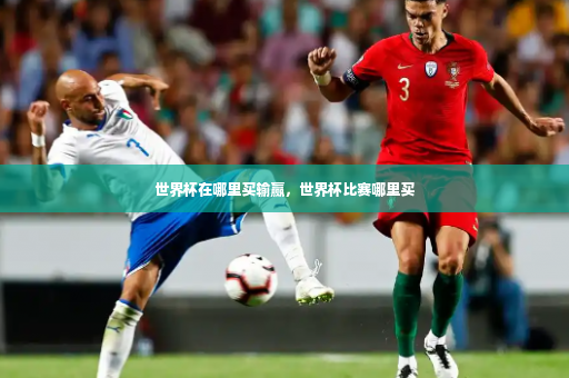 世界杯在哪里买输赢，世界杯比赛哪里买-第4张图片-体育博彩