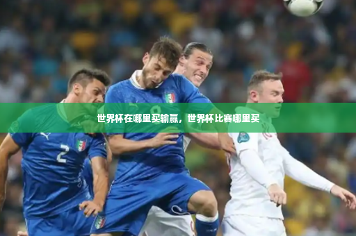 世界杯在哪里买输赢，世界杯比赛哪里买
