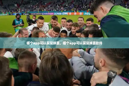 哪个app可以买足球票，哪个app可以买足球票软件-第2张图片-体育博彩