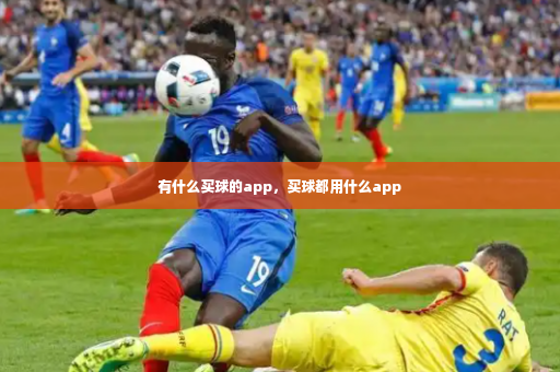 有什么买球的app，买球都用什么app-第4张图片-体育博彩