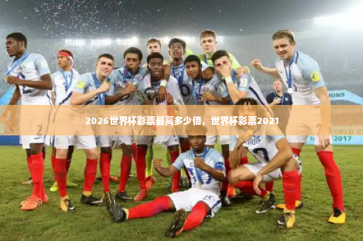 2026世界杯彩票最高多少倍，世界杯彩票2021-第3张图片-体育博彩