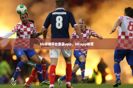 bb球赛平台登录app，bbapp体育