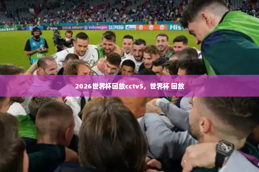 2026世界杯回放cctv5，世界杯 回放-第4张图片-体育博彩