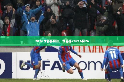2026世界杯投注，世界杯20216月26-第4张图片-体育博彩