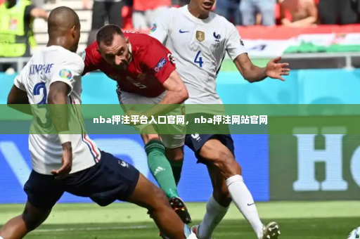 nba押注平台入口官网，nba押注网站官网-第4张图片-体育博彩