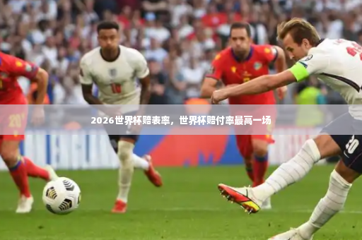 2026世界杯赔表率，世界杯赔付率最高一场