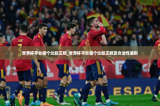 世界杯平台哪个比较正规_世界杯平台哪个比较正规及合法性鉴别-第3张图片-体育博彩