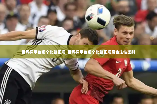 世界杯平台哪个比较正规_世界杯平台哪个比较正规及合法性鉴别-第4张图片-体育博彩