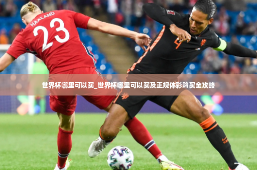世界杯哪里可以买_世界杯哪里可以买及正规体彩购买全攻略-第3张图片-体育博彩