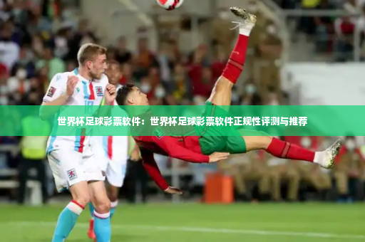 世界杯足球彩票软件：世界杯足球彩票软件正规性评测与推荐-第3张图片-体育博彩