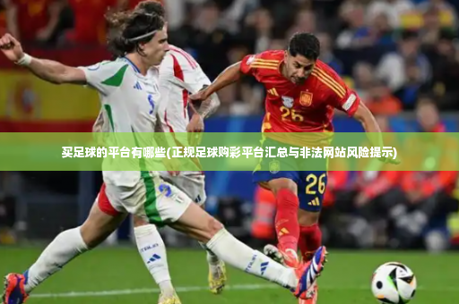 买足球的平台有哪些(正规足球购彩平台汇总与非法网站风险提示)-第4张图片-体育博彩