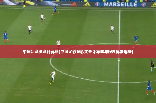 中国足彩竞彩计算器(中国足彩竞彩奖金计算器与投注算法解析)-第4张图片-体育博彩