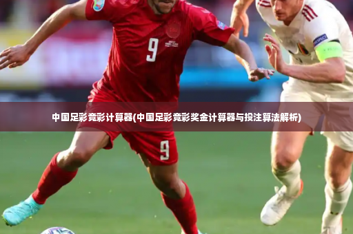 中国足彩竞彩计算器(中国足彩竞彩奖金计算器与投注算法解析)