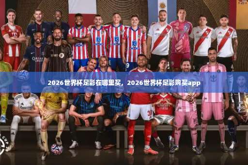 2026世界杯足彩在哪里买，2026世界杯足彩购买app-第3张图片-体育博彩
