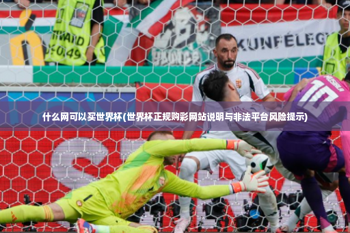 什么网可以买世界杯(世界杯正规购彩网站说明与非法平台风险提示)-第2张图片-体育博彩