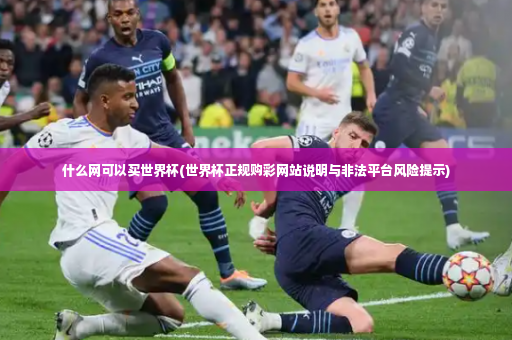 什么网可以买世界杯(世界杯正规购彩网站说明与非法平台风险提示)-第4张图片-体育博彩