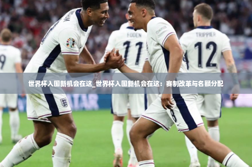 世界杯入围新机会在这_世界杯入围新机会在这：赛制改革与名额分配-第4张图片-体育博彩