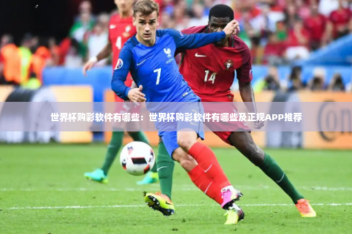 世界杯购彩软件有哪些：世界杯购彩软件有哪些及正规APP推荐-第2张图片-体育博彩