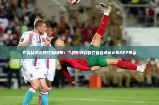 世界杯购彩软件有哪些：世界杯购彩软件有哪些及正规APP推荐-第3张图片-体育博彩