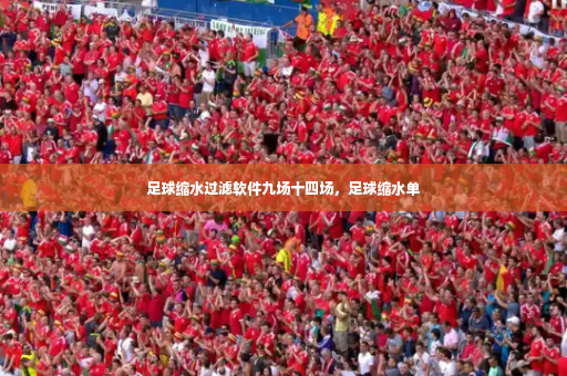 足球缩水过滤软件九场十四场,足球缩水单-第4张图片-体育博彩 足球缩水过滤软件九场十四场,足球缩水单-第4张图片-体育博彩