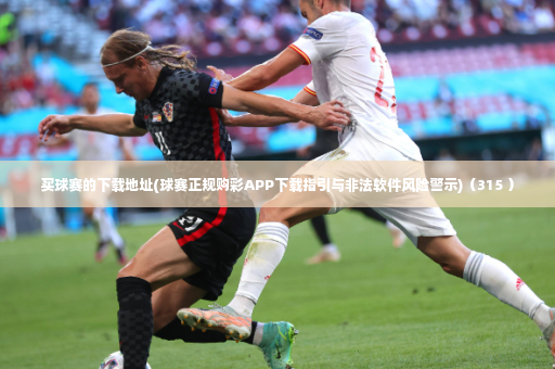 买球赛的下载地址(球赛正规购彩APP下载指引与非法软件风险警示)（315 ）-第3张图片-体育博彩