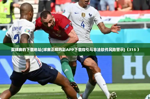买球赛的下载地址(球赛正规购彩APP下载指引与非法软件风险警示)（315 ）-第4张图片-体育博彩
