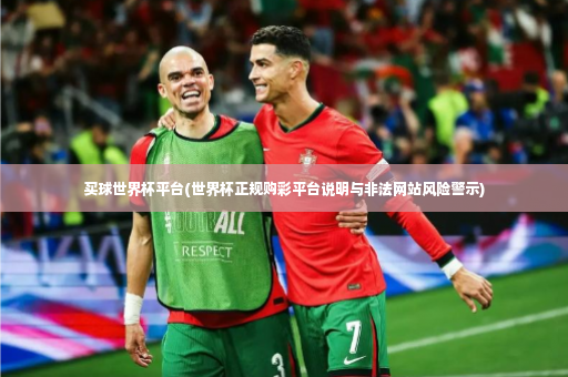 买球世界杯平台(世界杯正规购彩平台说明与非法网站风险警示)-第3张图片-体育博彩