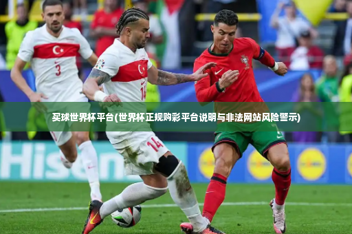 买球世界杯平台(世界杯正规购彩平台说明与非法网站风险警示)-第4张图片-体育博彩