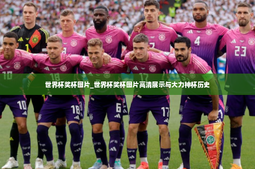 世界杯奖杯图片_世界杯奖杯图片高清展示与大力神杯历史-第2张图片-体育博彩
