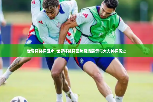 世界杯奖杯图片_世界杯奖杯图片高清展示与大力神杯历史