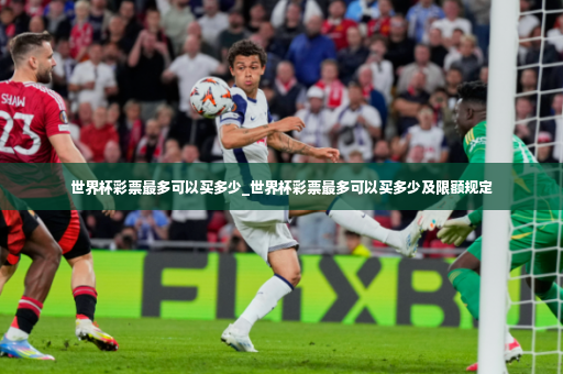 世界杯彩票最多可以买多少_世界杯彩票最多可以买多少及限额规定