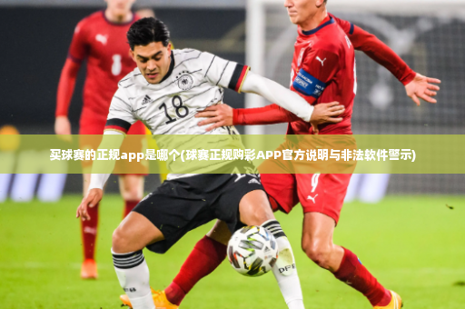 买球赛的正规app是哪个(球赛正规购彩APP官方说明与非法软件警示)-第4张图片-体育博彩