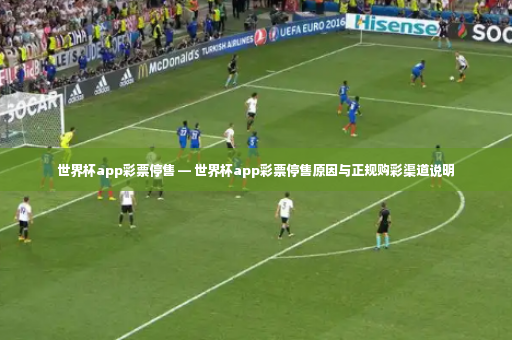 世界杯app彩票停售 — 世界杯app彩票停售原因与正规购彩渠道说明-第3张图片-体育博彩