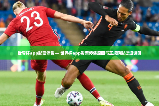 世界杯app彩票停售 — 世界杯app彩票停售原因与正规购彩渠道说明-第4张图片-体育博彩