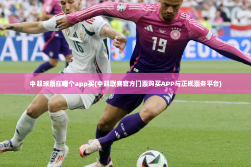 中超球票在哪个app买(中超联赛官方门票购买APP与正规票务平台)-第2张图片-体育博彩