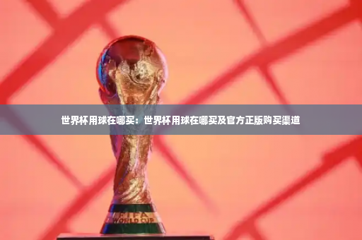 世界杯用球在哪买：世界杯用球在哪买及官方正版购买渠道-第3张图片-体育博彩