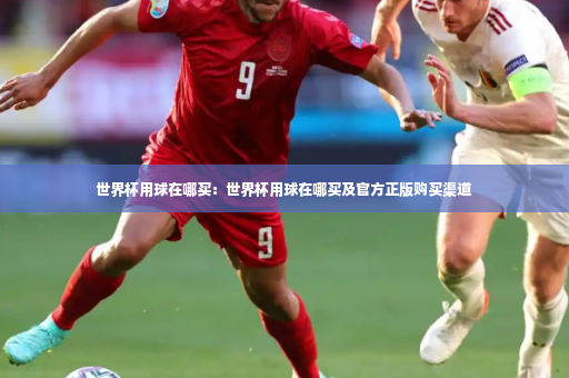 世界杯用球在哪买：世界杯用球在哪买及官方正版购买渠道-第4张图片-体育博彩