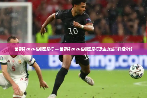 世界杯2026在哪里举行 — 世界杯2026在哪里举行及主办城市详细介绍-第2张图片-体育博彩