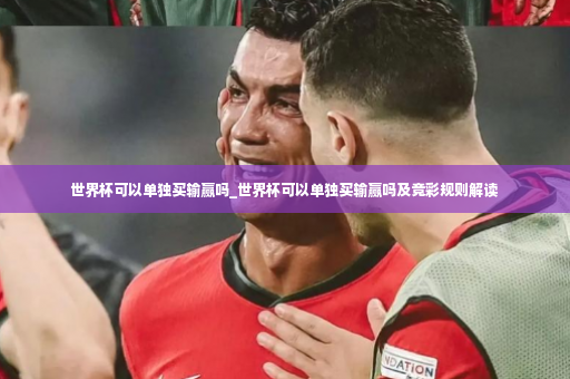 世界杯可以单独买输赢吗_世界杯可以单独买输赢吗及竞彩规则解读-第2张图片-体育博彩 世界杯可以单独买输赢吗_世界杯可以单独买输赢吗及竞彩规则解读-第2张图片-体育博彩