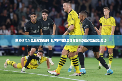 世界杯可以单独买输赢吗_世界杯可以单独买输赢吗及竞彩规则解读