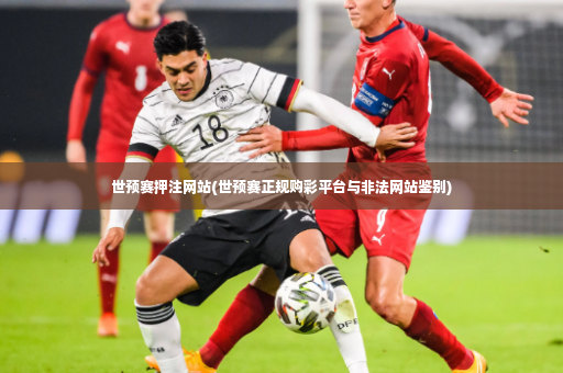 世预赛押注网站(世预赛正规购彩平台与非法网站鉴别)