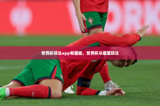 世界杯投注app有哪些,世界杯从哪里投注-第4张图片-体育博彩 世界杯投注app有哪些,世界杯从哪里投注-第4张图片-体育博彩