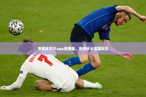 世界杯投注app有哪些，世界杯从哪里投注