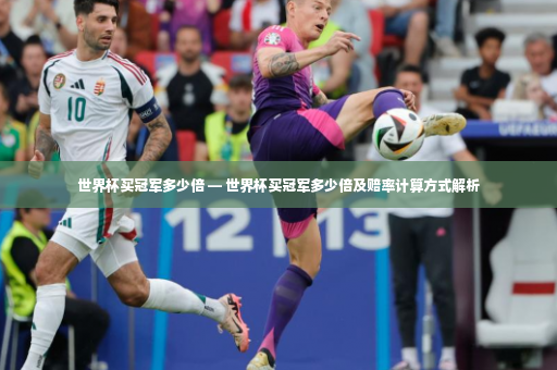 世界杯买冠军多少倍 — 世界杯买冠军多少倍及赔率计算方式解析-第2张图片-体育博彩