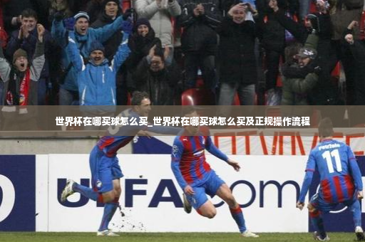 世界杯在哪买球怎么买_世界杯在哪买球怎么买及正规操作流程